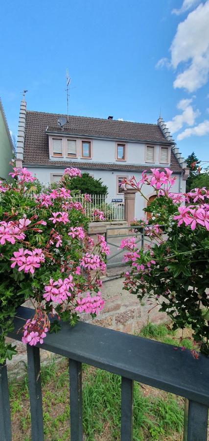 Le Cocon Du Rimbach Daire Soultz-Haut-Rhin Dış mekan fotoğraf